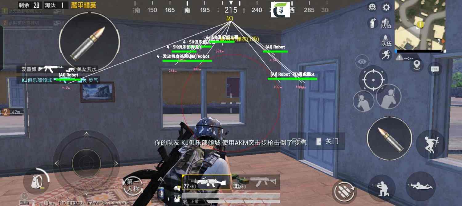 突破游戏界限：探索和平精英辅助工具的神秘世